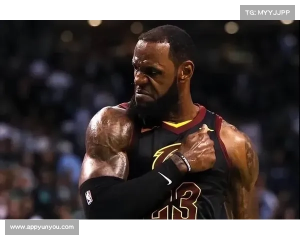 勒布朗·詹姆斯的伟大之路 小皇帝如何成就NBA历史传奇 勒布朗·詹姆斯的伟大之路 小皇帝如何成就NBA历史传奇